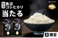 【2024年もお世話になりました♪】メンズ脱毛サロン「メンズクリア」が12月16日より年越しキャンペーンを開催!