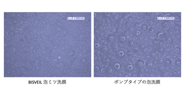 BISVEILLab