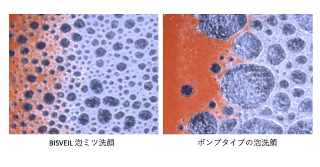 BISVEILLab
