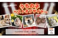 2024年も残りわずか!動物専門SNS『Tier』で「うちの子ベストオブザイヤー」を開催!