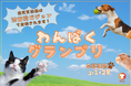 我が子の元気いっぱいな姿を投稿しよう!動物専門SNS『Tier』で 「わんぱくグランプリ」開催
