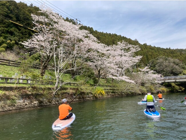 お花見SUP体験 お花見SUP体験