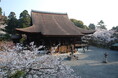 ~近江で阿波おどり~「三井寺花見阿波おどり」を初開催します!