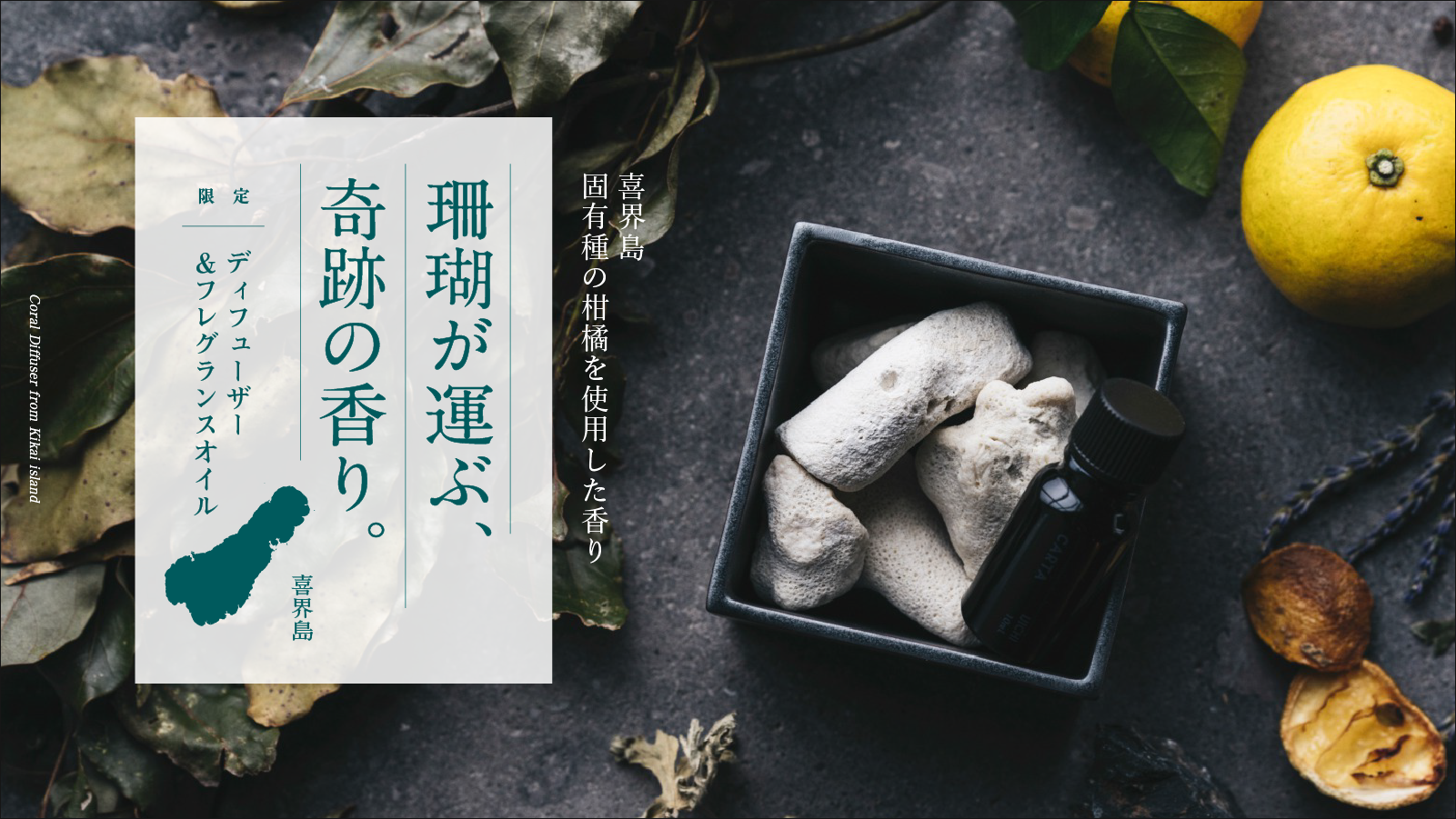 クラファン開始1時間で目標達成、36時間で目標510％100万円達成】九州