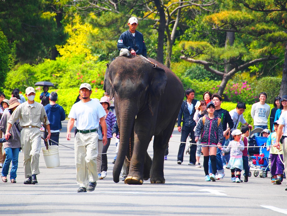 Jaf宮崎 Jaf会員向け特別企画 飼育員と行く 動物園ガイドツアー を開催します 一般社団法人 日本自動車連盟 Jaf 地方 のプレスリリース