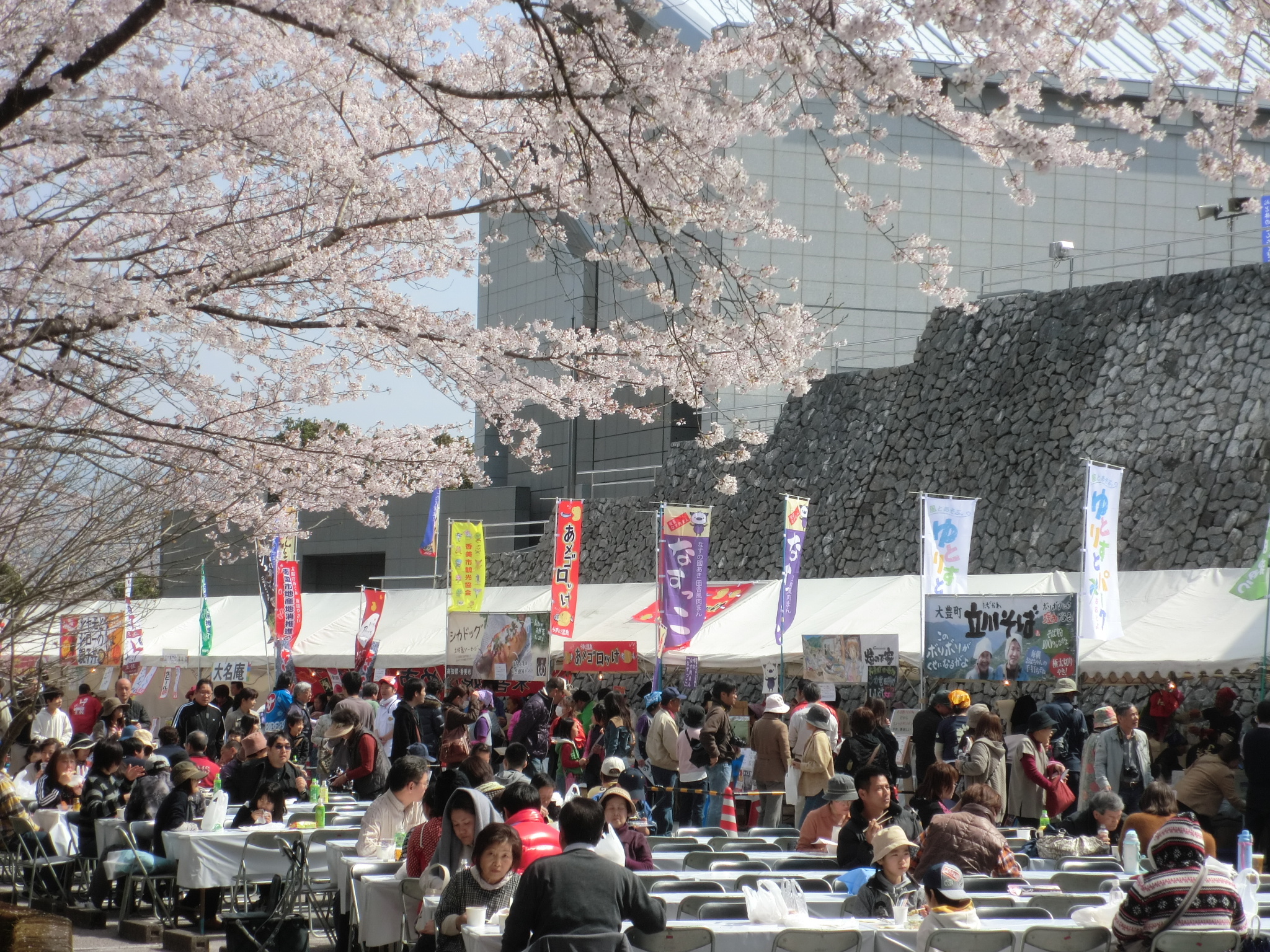 ｊａｆ高知 召しませ 桜咲く 岡豊山 岡豊山さくらまつりでｊａｆブースを出展します 一般社団法人 日本自動車連盟 Jaf 地方 のプレスリリース