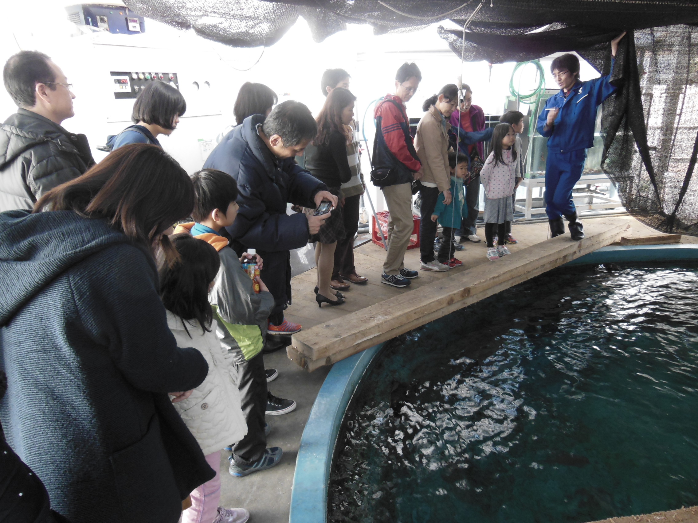 ｊａｆ静岡 ｊａｆデーｉｎ東海大学海洋科学博物館 を開催 水族館の裏側を探検します 一般社団法人 日本自動車連盟 Jaf 地方 のプレスリリース