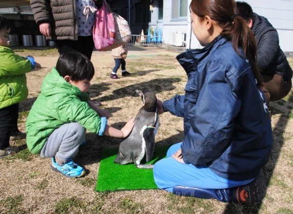 ペンギンにタッチ！