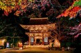 【JAF滋賀】JAFデー in 三井寺を開催します