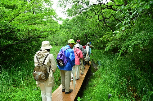 ｊａｆ茨城 茨城の自然を全身で感じよう ひたち海浜公園内ジオ体験ウォーキングツアーを開催します 一般社団法人 日本自動車連盟 Jaf 地方 のプレスリリース