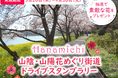 【JAF中国】桜やネモフィラ、バラなど、四季折々の花をめぐる 山陰・山陽花めぐり街道ドライブスタンプラリー2025を開催