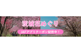 【JAF茨城】県内の花の名所をお得にドライブ！「花めぐり～JAFアプリクーポンでお得に楽しむ茨城の春～」を実施しております