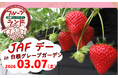 【JAF新潟】「JAFデー in フルーツランド白根グレープガーデン」を開催します！