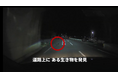 【JAF鹿児島】環境省と共同で ロードキル防止啓発動画を制作