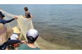 【JAF滋賀】地元漁師とびわ湖の「今」を学ぶ、地引網体験イベントを開催します
