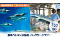 【JAF長崎】ペンギン飼育種類数、世界一！普段入れない長崎ペンギン水族館のバックヤードを見学できる特別ツアー開催！参加者限定プレゼントも！