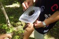 【JAF宮城】蔵王で夏の思い出づくりを！「JAFデー カブトムシ捕り体験 in ことりはうす」を開催します