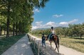 【JAF滋賀】引退競走馬とのふれあいや乗馬体験を楽しめるイベントを開催