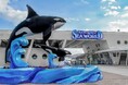 【JAF千葉】鴨川シーワールドでJAF会員向けイベント「夜の鴨シー探検プラン」開催決定！閉館後の水族館を巡る特別なプログラム