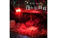 【JAF岐阜】世界淡水魚園水族館 アクア・トト ぎふで、閉館後の特別な「夜の水族館」を体験できます