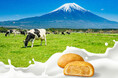 たこ満 新ブランド〈世界ふじ〉始動富士山麓から、世界に誇るおいしさを。第一弾商品としてあさぎり牛乳を使用したミルクスイーツ2品を発売
