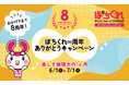 8周年の「ぽちくれ」は楽しさ∞(無限大)!福袋抽選や特別企画が続々登場、最後まで目が離せない1ヶ月!