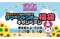 ぽちくれ、“億のチャンス”が入ってる!?サマージャンボ付き福袋キャンペーン開催