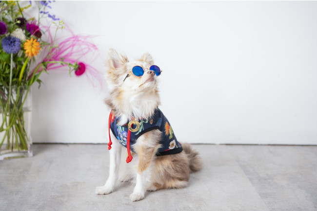 着用サイズ２号