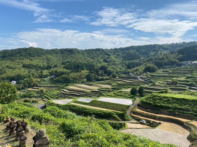 内成地区の棚田