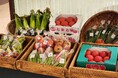 【会津・東山温泉御宿東鳳】新鮮な野菜販売・食品ロス削減に向けJA会津よつば直売所と共同企画「会津産新鮮野菜市」を7月27日から期間限定開催！