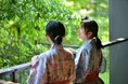 野鳥天国・芦ノ湖、蒼穹の湖に集う数多の野鳥を気軽に観察、はなをりバードウォッチングプランの販売【箱根・芦ノ湖 はなをり】