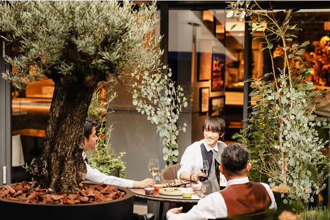 シンボルツリー「オリーブの木」を配したテラスイメージ シンボルツリー「オリーブの木」を配したテラスイメージ