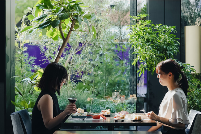 新しい「TERRACE & DINING ZERO」のランチイメージ 新しい「TERRACE & DINING ZERO」のランチイメージ