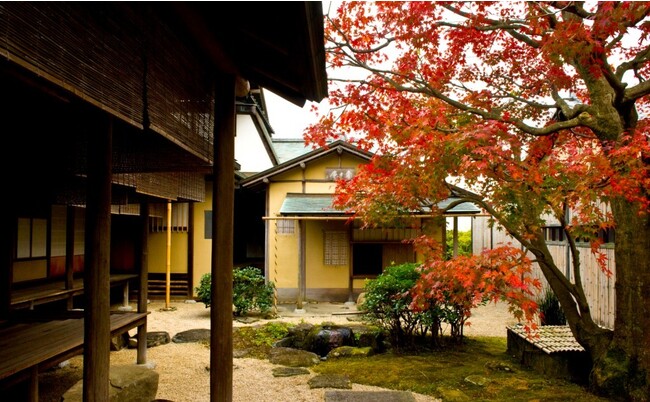 光琳屋敷内部「中庭」 光琳屋敷内部「中庭」