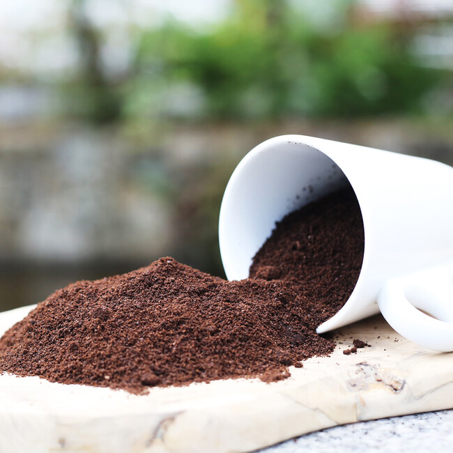 堆肥や害虫防除になる コーヒー豆かす 堆肥や害虫防除になる コーヒー豆かす
