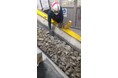 『AI搭載 廃棄物選別ロボット』を国内最大級の合材工場へ導入
