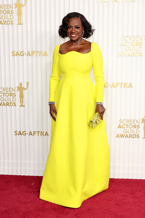 ヴィオラ・デイヴィス(Viola Davis)Photo Valentino GettyImages ヴィオラ・デイヴィス(Viola Davis)Photo Valentino GettyImages