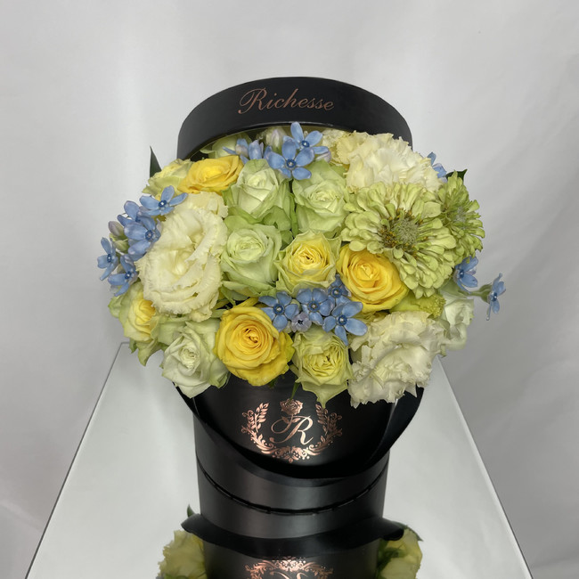 SUMMER COLLECTION 2022 S SIZE SUMMER COLLECTION 2022 S SIZE