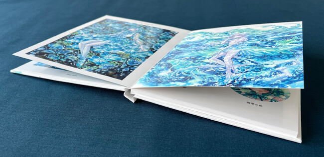 イラスト集写真集