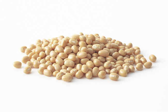 たねやで使用する北海道産白小豆「キタホタル」