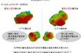 電気化学小角X線散乱法により、酸化還元酵素の酸化体・還元体の構造を解明 ~生物学的試料における初の試み~