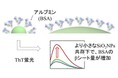 小さいナノ粒子ほどタンパク質二次構造に顕著な影響を与える ~ナノ粒子の医学生物学応用に向けた重要な知見~