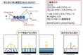 糖型界面活性剤で酸性条件下でも乳酸オキシダーゼ電極が機能 ~GI-SAXSにより酵素電極表面構造の詳細解明~