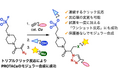 連続クリック反応でPROTACの効率的合成に成功 ～3種類の機能性分子の迅速な集積を実証、創薬研究の加速に期待～
