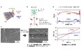 カーボンナノチューブの配向を狙った場所だけ調整する新たな光プロセスを開発 〜サブマイクロスケールの空間解像度で局所制御、次世代半導体デバイス実現に期待〜