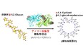 糖質加水分解酵素群の100年を超える研究の歴史の中で初めて見つかった糖転移反応 ～植物に対する病原性因子の環状糖を合成するアノマー反転型糖転移反応の発見～