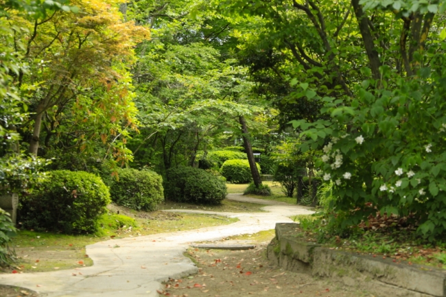 純日本庭園