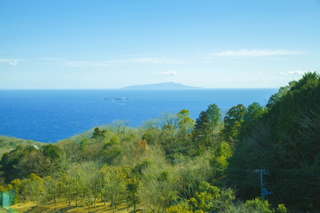 相模湾を一望