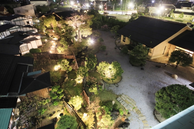 広大な日本庭園ライトアップ