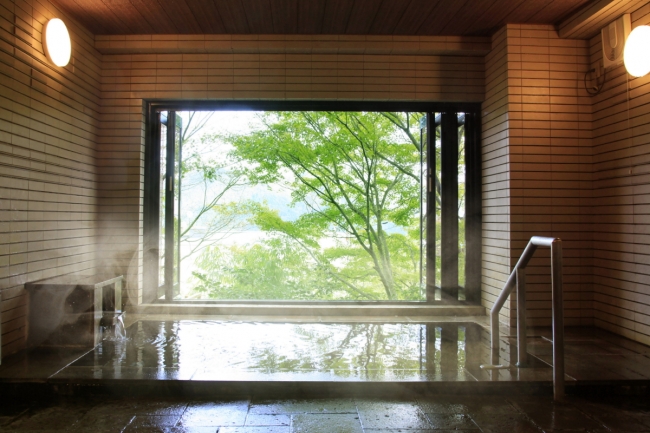 箱根の緑に癒されて